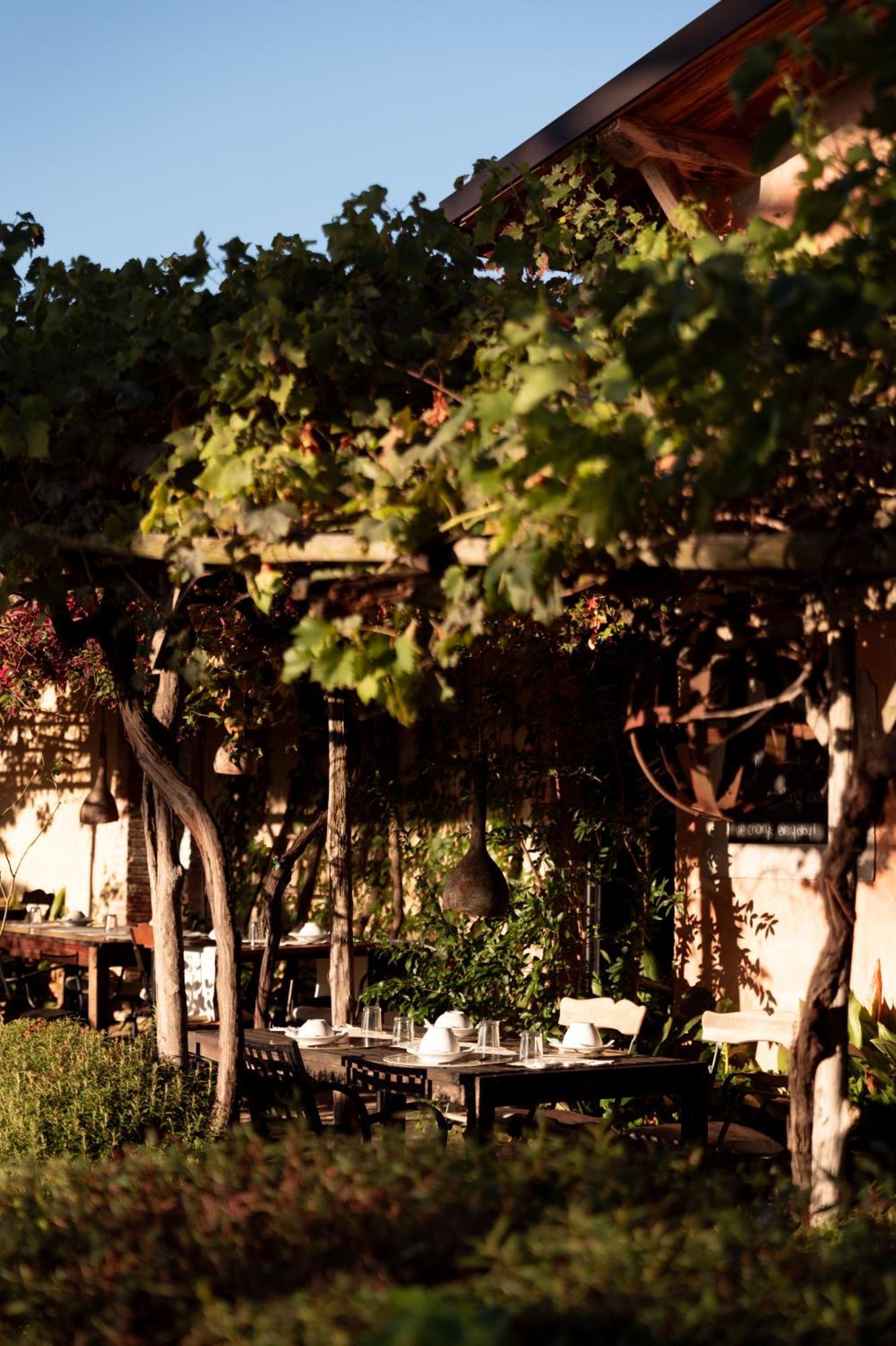 Agriturismo San Martino Montepulciano Stazione المظهر الخارجي الصورة